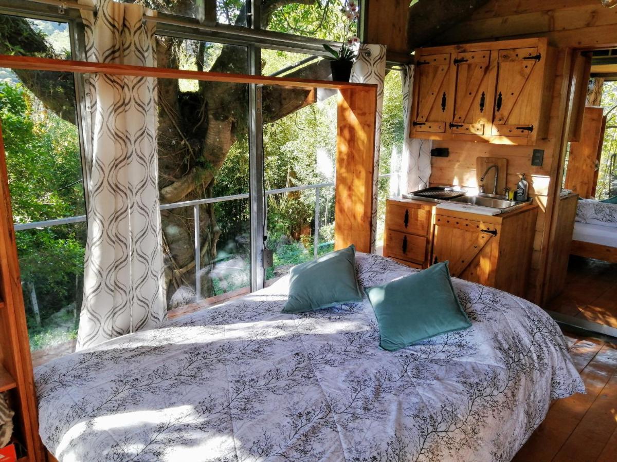 Cabana Treehouse Mountain View San Isidro  Exterior foto
